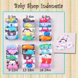 LS007 Short Pants Carters 5in1 For Boy 105  large